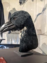 Terror in der Oper