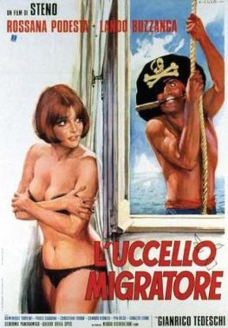 L'uccello migratore
