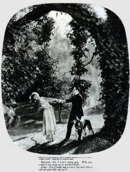 Rin-Tin-Tin unter Verbrechern
